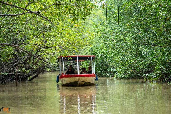 Damas Mangroove Boat Tour from Manuel Antonio - Photo 1 of 10